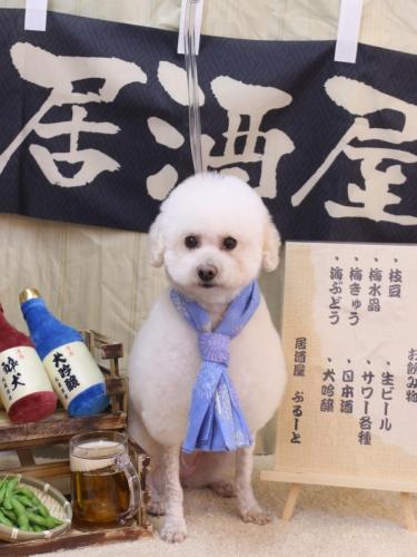 20240609MAPLEちゃん